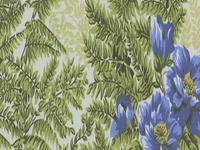  Imprimés 4003 Brasil 1/120 Verso Vert